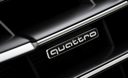 2020 Audi Q5 TFSI e Plug-In Hybrid (Color: Glacier White) Badge Wallpapers 450x275 (41)
