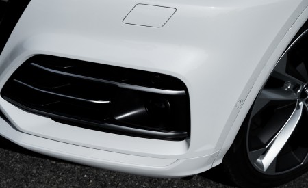 2020 Audi Q5 TFSI e Plug-In Hybrid (Color: Glacier White) Detail Wallpapers 450x275 (40)