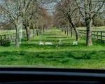 2020 Mercedes-Benz GLE 300d (UK-Spec) Interior Head-Up Display Wallpapers 150x120