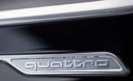2020 Audi A6 allroad quattro (UK-Spec) Detail Wallpapers 450x275 (31)