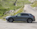 2020 Audi SQ8 TDI (Color: Daytona Gray) Side Wallpapers 150x120 (18)