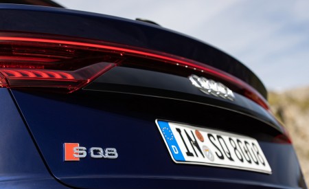 2020 Audi SQ8 TDI (Color: Navarra Blue) Detail Wallpapers 450x275 (38)