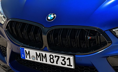 2020 BMW M8 Competition Coupe (Color: Frozen Marina Bay Blue) Grill Wallpapers 450x275 (213)