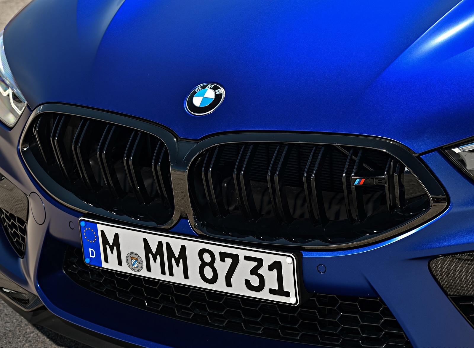 2020 BMW M8 Competition Coupe (Color: Frozen Marina Bay Blue) Grill Wallpapers #213 of 305