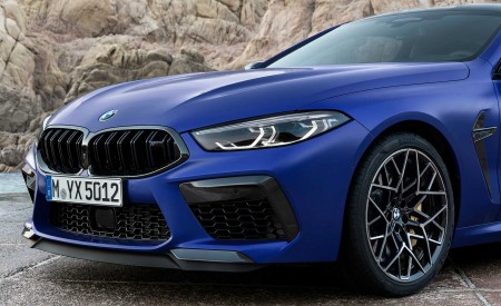 2020 BMW M8 Competition Coupe Detail Wallpapers 450x275 (276)