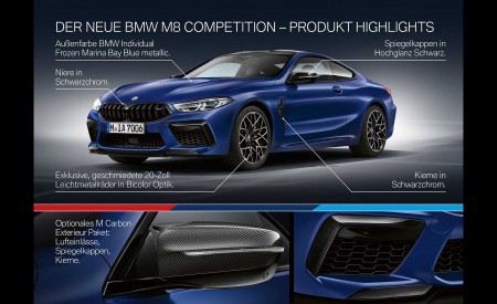 2020 BMW M8 Competition Coupe Technology Wallpapers 450x275 (299)