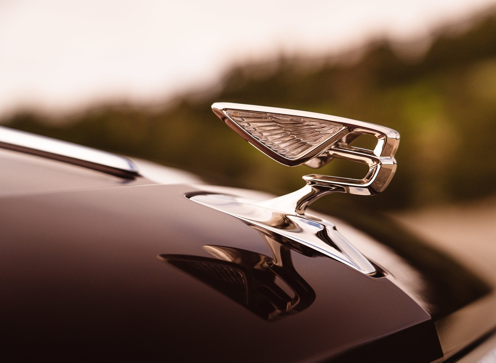 2020 Bentley Flying Spur (Color: Cricket Ball) Hood Ornament Wallpapers #122 of 140