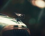 2020 Bentley Flying Spur (Color: Verdant) Hood Ornament Wallpapers 150x120 (40)