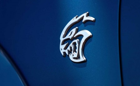 2020 Dodge Charger SRT Hellcat Widebody Badge Wallpapers 450x275 (168)