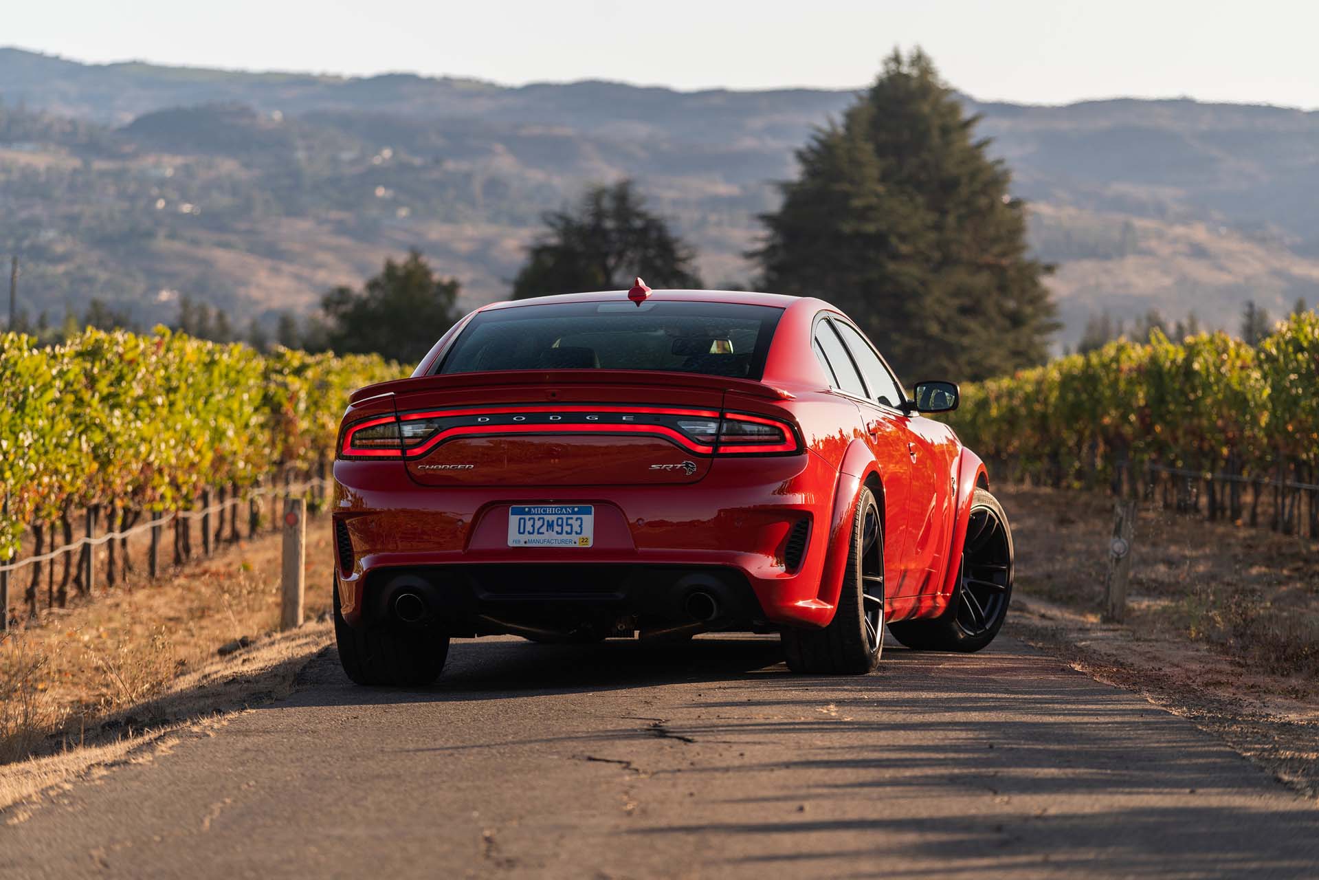 2020 Dodge Charger SRT Hellcat Widebody (Color: TorRed) Rear Wallpapers #21 of 183