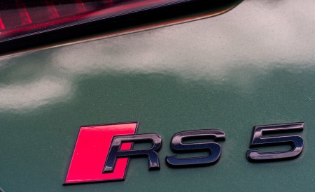 2019 Audi RS 5 Sportback (UK-Spec) Detail Wallpapers 450x275 (55)