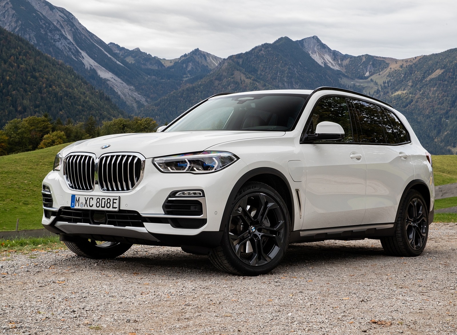 2019 BMW X5 xDrive45e iPerformance Front Three-Quarter Wallpapers #32 of 113