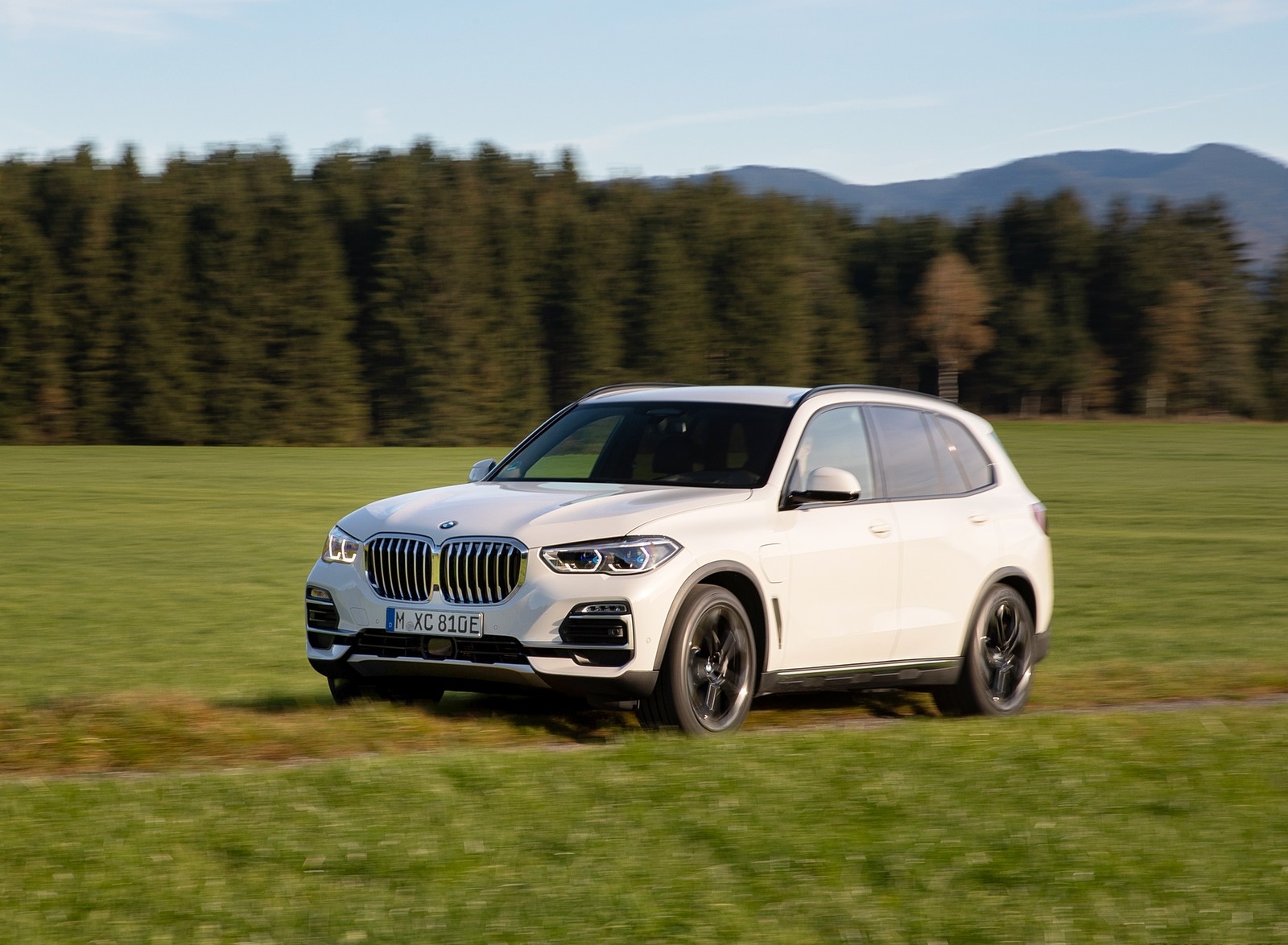 2019 BMW X5 xDrive45e iPerformance Front Three-Quarter Wallpapers #22 of 113