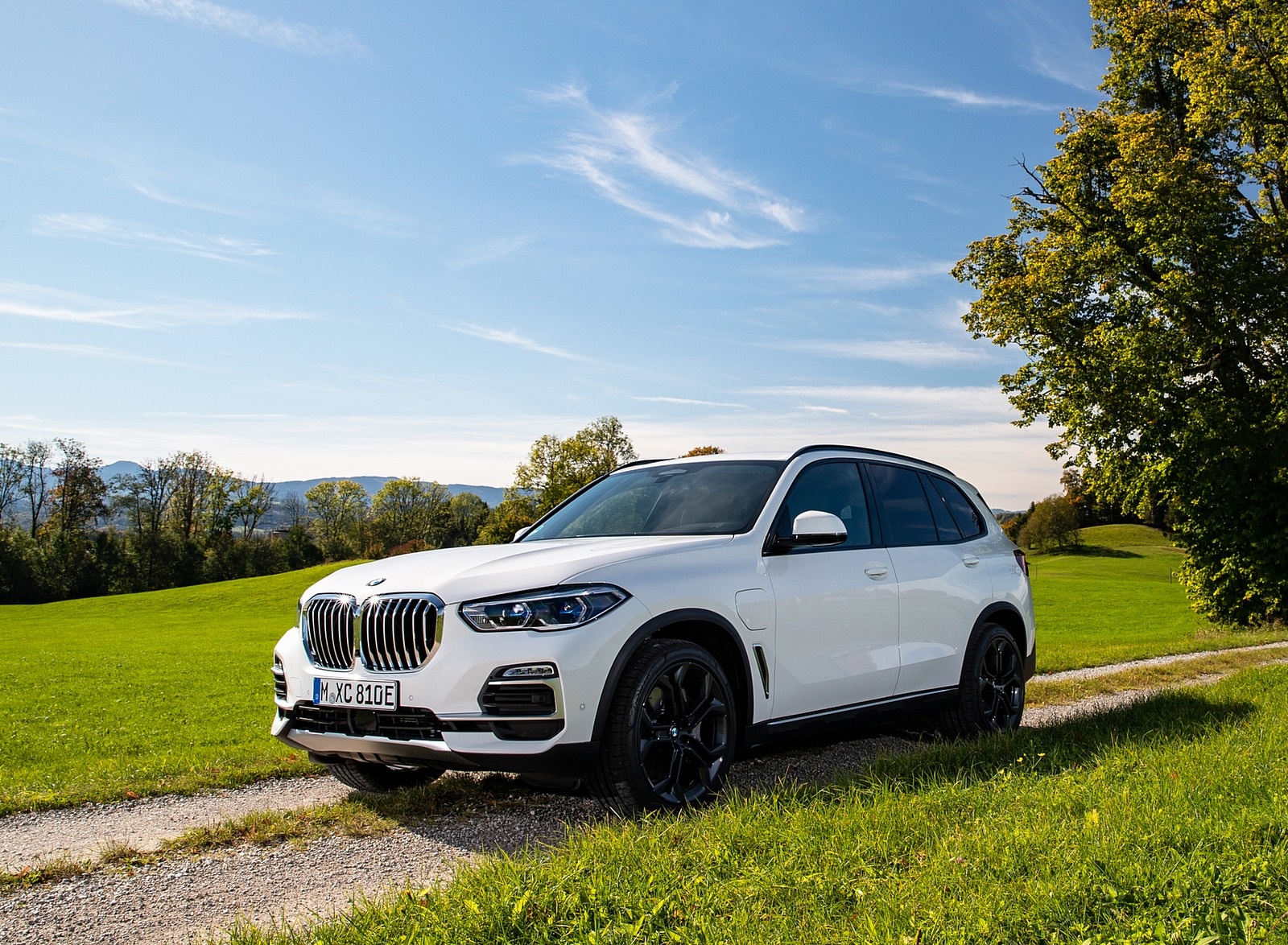 2019 BMW X5 xDrive45e iPerformance Front Three-Quarter Wallpapers #33 of 113