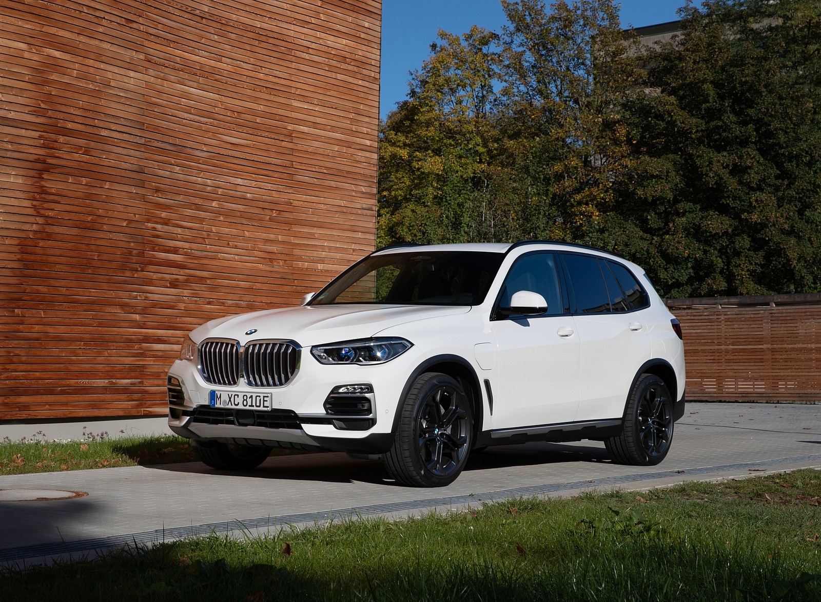 2019 BMW X5 xDrive45e iPerformance Front Three-Quarter Wallpapers #23 of 113