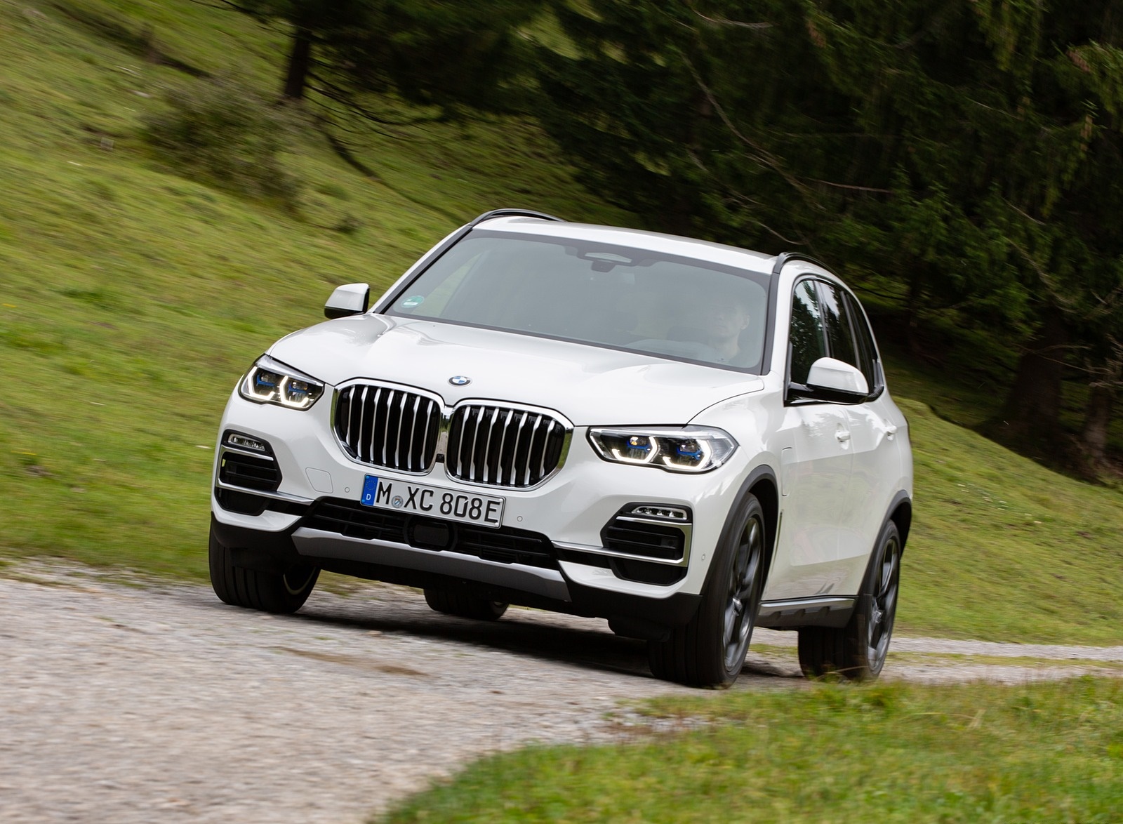 2019 BMW X5 xDrive45e iPerformance Front Three-Quarter Wallpapers #37 of 113