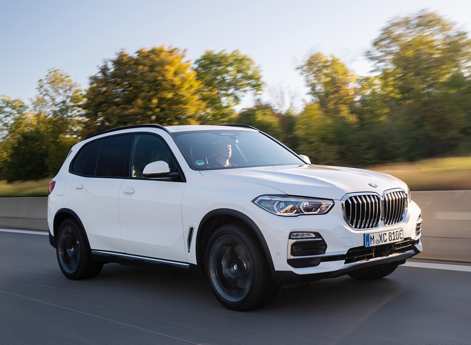 2019 BMW X5 xDrive45e iPerformance Front Three-Quarter Wallpapers #15 of 113