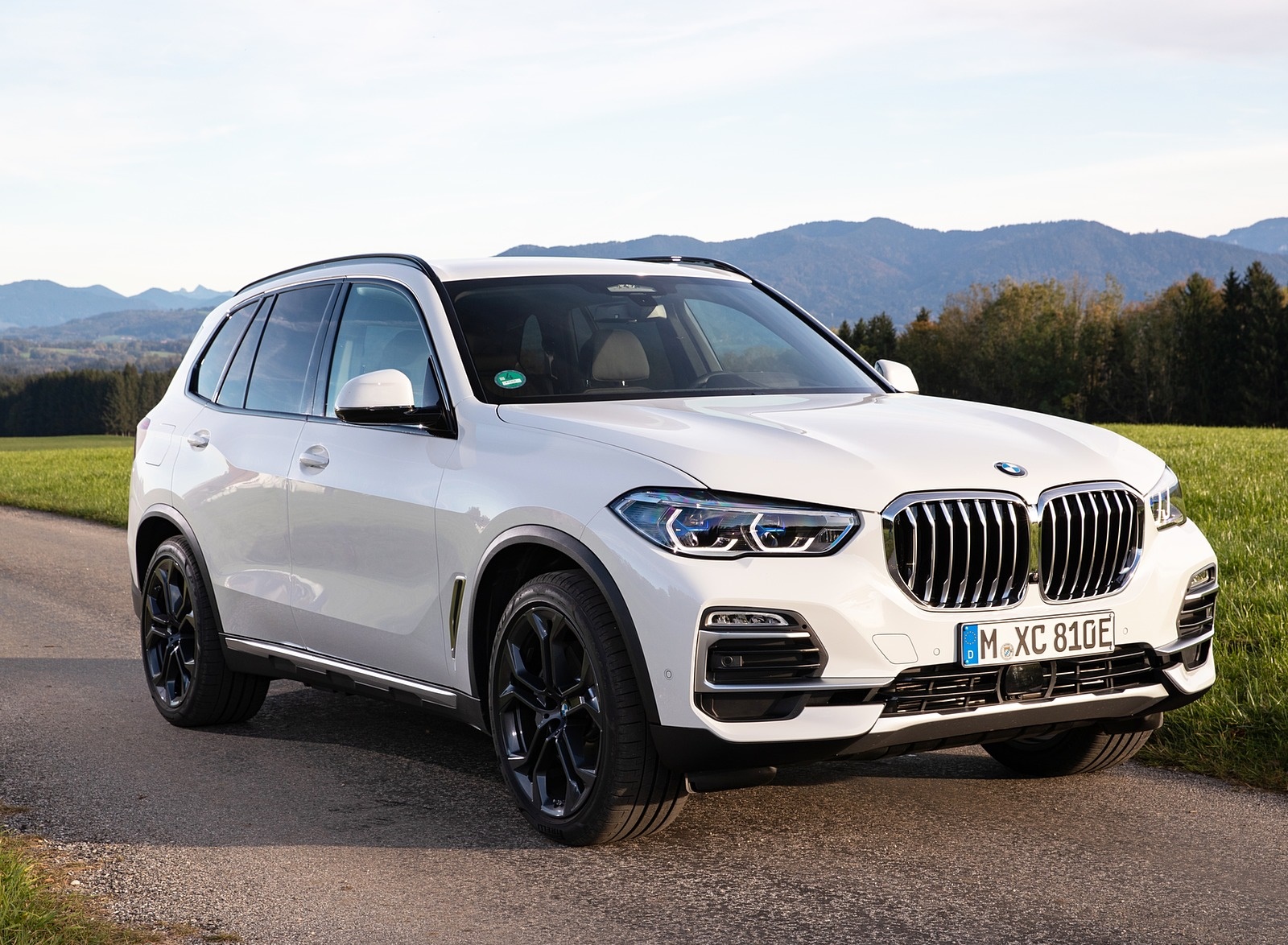2019 BMW X5 xDrive45e iPerformance Front Three-Quarter Wallpapers #39 of 113