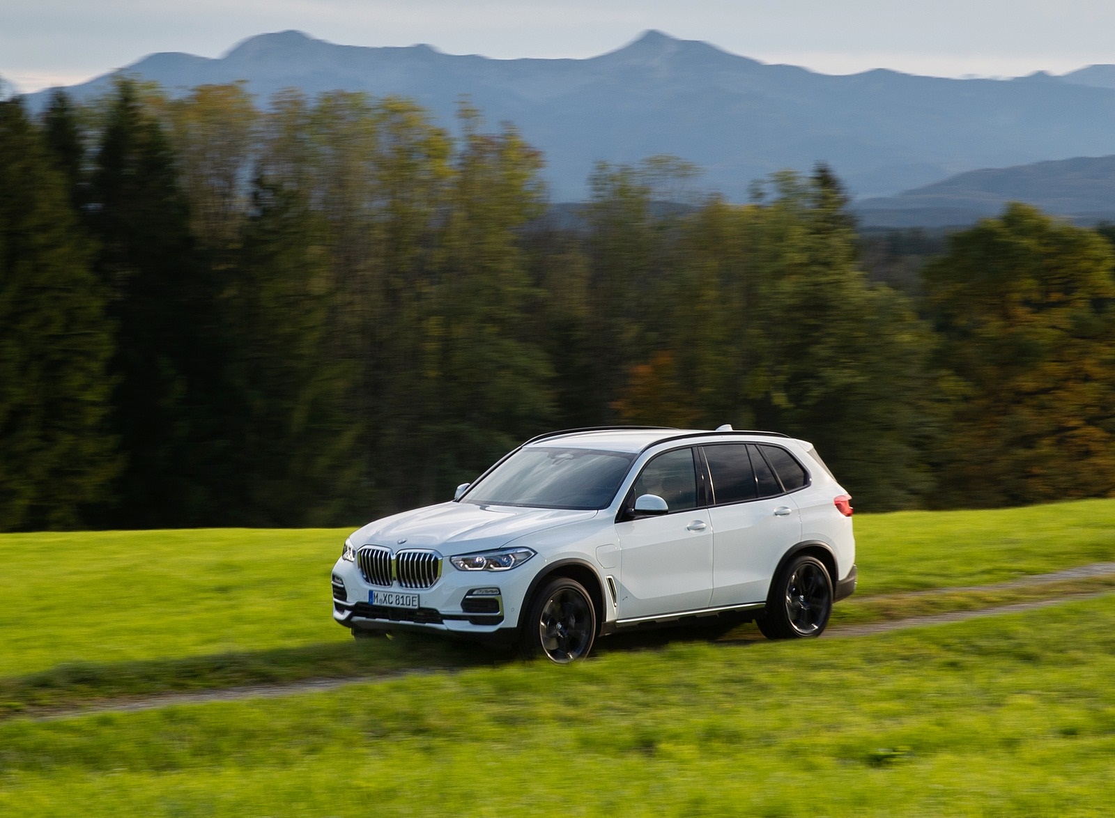 2019 BMW X5 xDrive45e iPerformance Front Three-Quarter Wallpapers #26 of 113