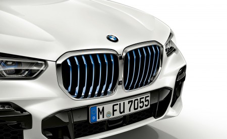 2019 BMW X5 xDrive45e iPerformance Grill Wallpapers 450x275 (105)