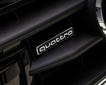 2020 Audi A7 Sportback 55 TFSI e quattro Plug-In Hybrid Badge Wallpapers 150x120 (47)