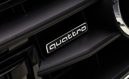 2020 Audi A7 Sportback 55 TFSI e quattro Plug-In Hybrid Badge Wallpapers 450x275 (47)