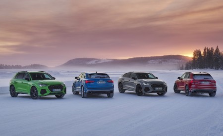 2020 Audi RS Q3 Wallpapers 450x275 (9)
