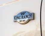 2020 Ford Expedition King Ranch Badge Wallpapers 150x120 (13)