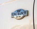 2020 Ford Expedition King Ranch Badge Wallpapers 150x120