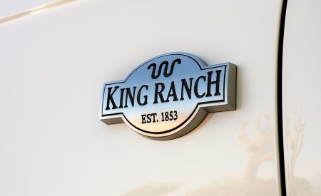2020 Ford Expedition King Ranch Badge Wallpapers 450x275 (13)