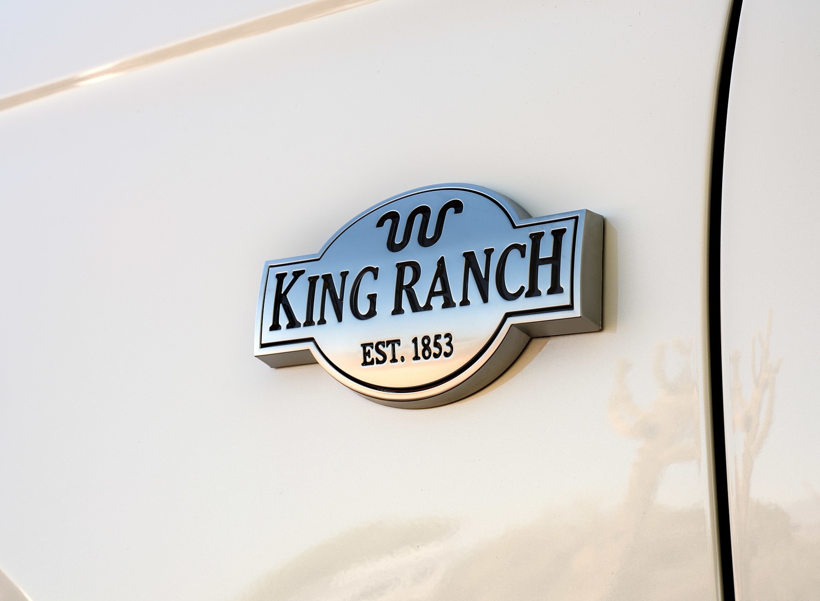 2020 Ford Expedition King Ranch Badge Wallpapers #13 of 21