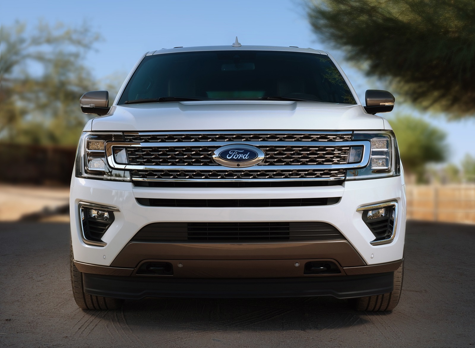 2020 Ford Expedition King Ranch Front Wallpapers (6)