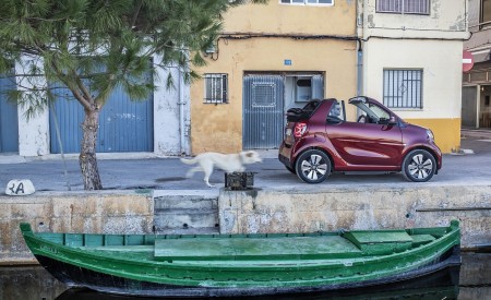 2020 Smart EQ ForTwo Cabrio Prime Line (Color: Carmine Red) Side Wallpapers 450x275 (31)