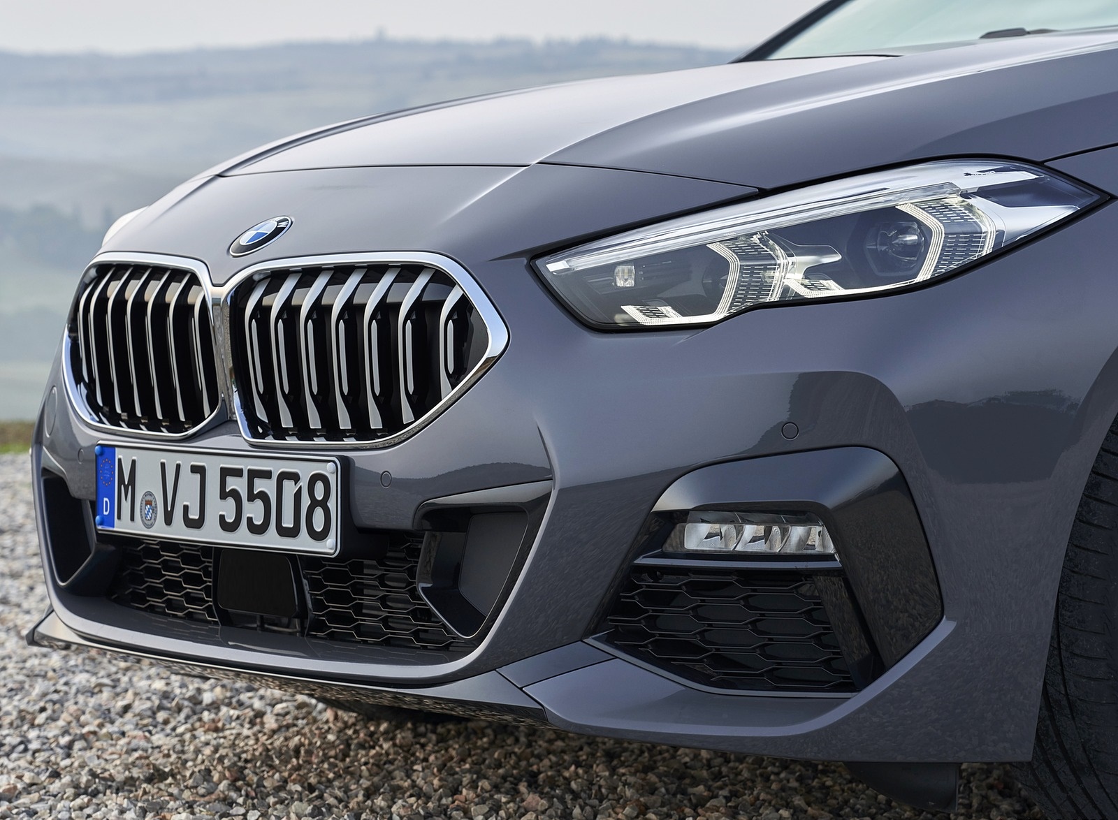 2020 BMW 2 Series 220d Gran Coupe M Sport (Color: Storm Bay Metallic) Detail Wallpapers #24 of 69