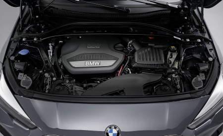 2020 BMW 2 Series 220d Gran Coupe M Sport (Color: Storm Bay Metallic) Engine Wallpapers 450x275 (47)