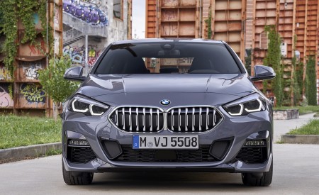 2020 BMW 2 Series 220d Gran Coupe M Sport (Color: Storm Bay Metallic) Front Wallpapers 450x275 (17)