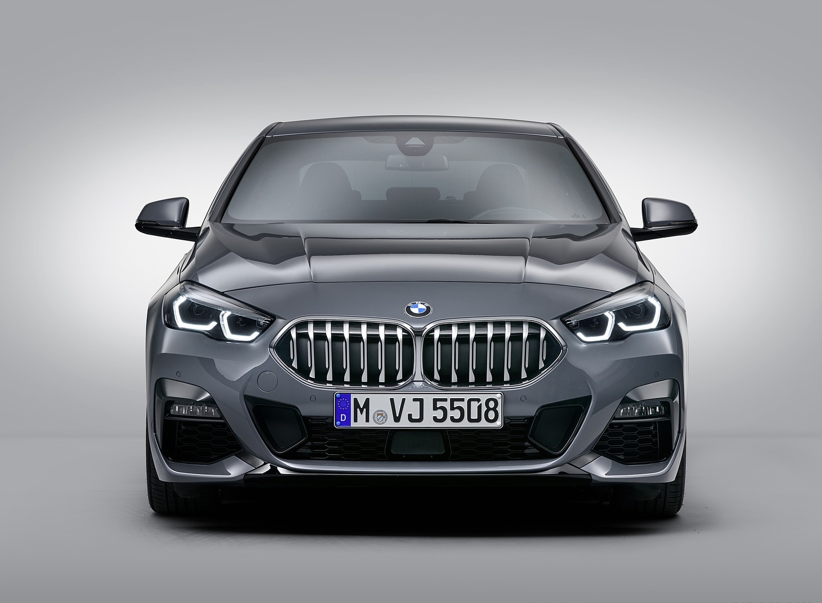 2020 BMW 2 Series 220d Gran Coupe M Sport (Color: Storm Bay Metallic) Front Wallpapers #39 of 69