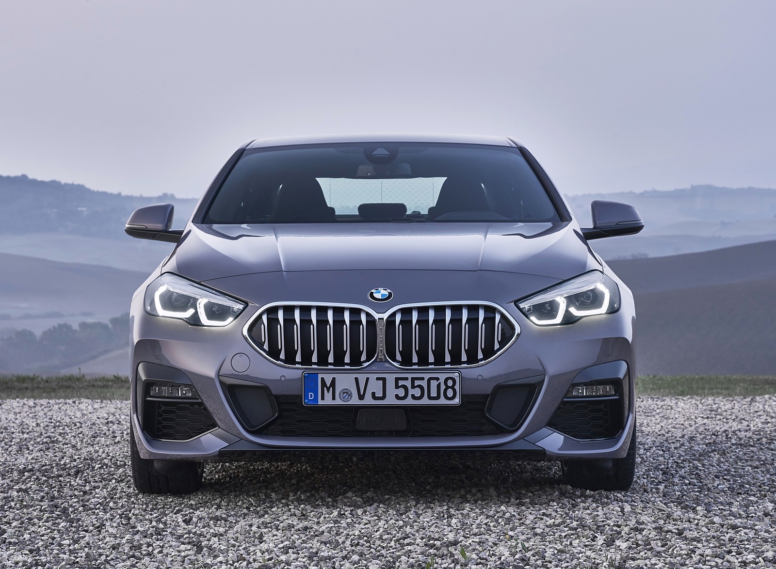 2020 BMW 2 Series 220d Gran Coupe M Sport (Color: Storm Bay Metallic) Front Wallpapers #18 of 69
