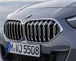 2020 BMW 2 Series 220d Gran Coupe M Sport (Color: Storm Bay Metallic) Grill Wallpapers 150x120