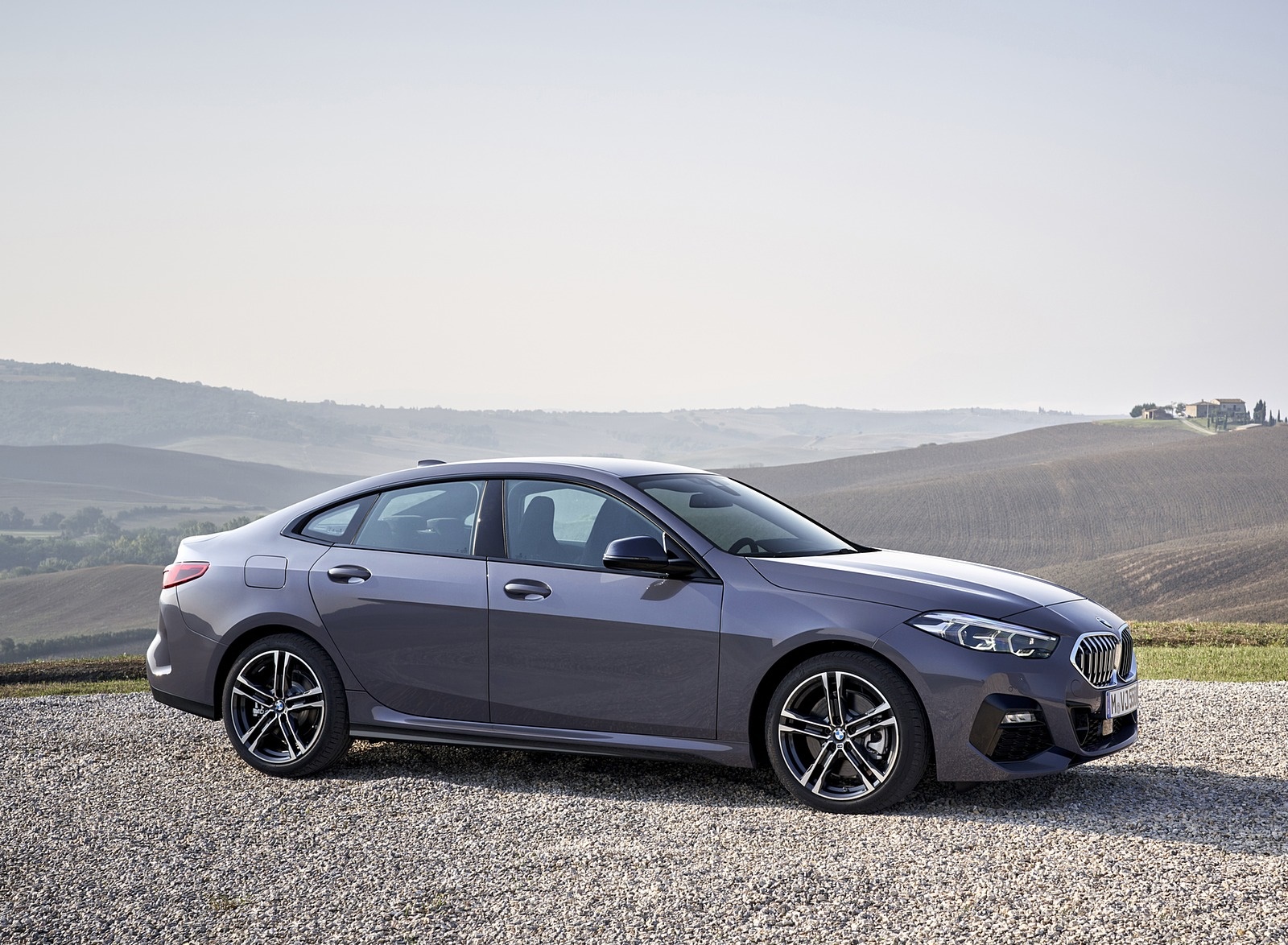 2020 BMW 2 Series 220d Gran Coupe M Sport (Color: Storm Bay Metallic) Side Wallpapers #22 of 69