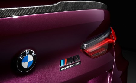 2020 BMW M8 Gran Coupe Competition Detail Wallpapers 450x275 (98)