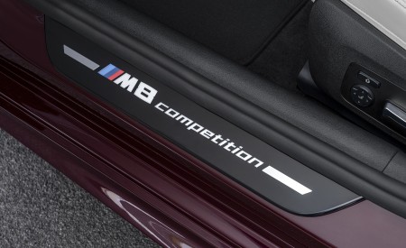 2020 BMW M8 Gran Coupe Competition Door Sill Wallpapers 450x275 (52)