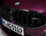 2020 BMW M8 Gran Coupe Competition Grill Wallpapers 150x120