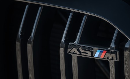 2020 BMW X5 M Competition Detail Wallpapers 450x275 (48)