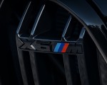 2020 BMW X6 M Competition Detail Wallpapers 150x120 (40)