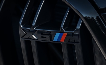 2020 BMW X6 M Competition Detail Wallpapers 450x275 (40)