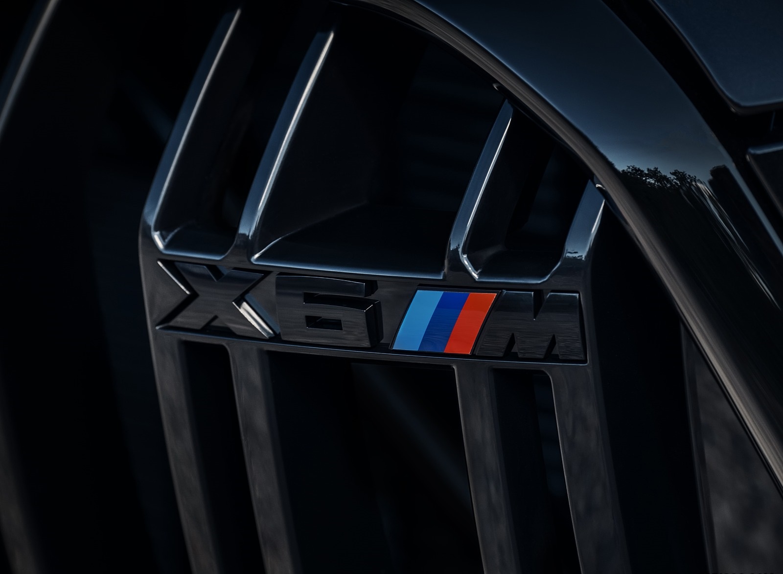 2020 BMW X6 M Competition Detail Wallpapers #40 of 56
