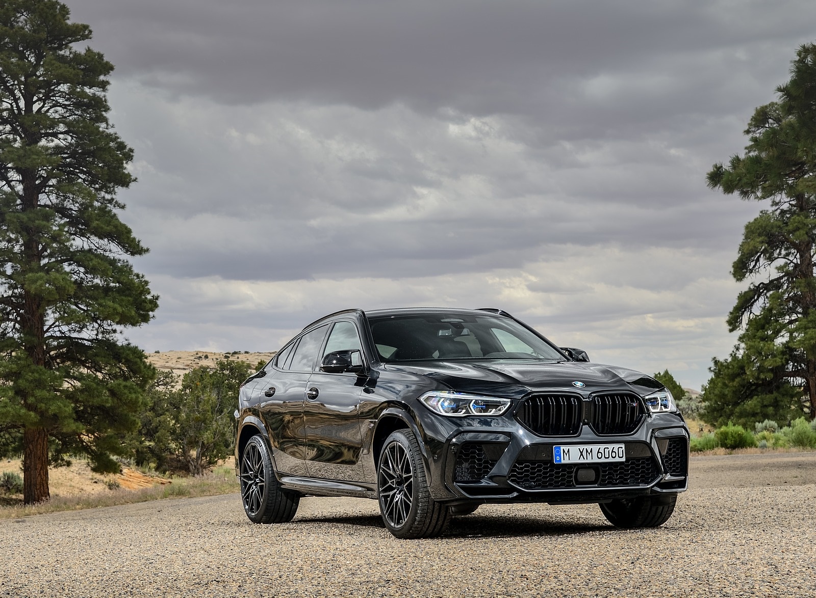 2020 BMW X6 M Competition Front Three-Quarter Wallpapers #26 of 56