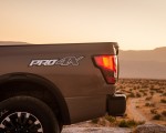 2020 Nissan TITAN PRO 4X Detail Wallpapers 150x120 (21)