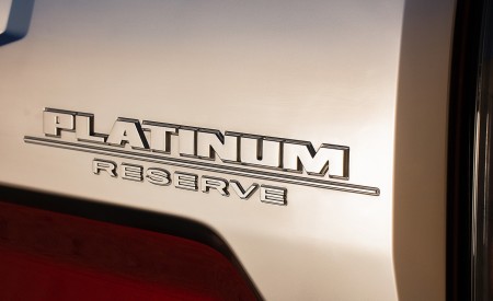 2020 Nissan TITAN Platinum Reserve Detail Wallpapers 450x275 (19)